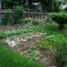 A Guide for Garden Growers: 5 Amazing Ways to Boost Your Vegetable Yield