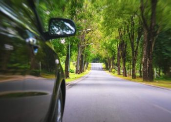 Green Living: Here’s How To Become An Eco-friendly Driver