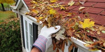 What Happens if You Don’t Clean Your Gutters? 