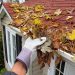What Happens if You Don’t Clean Your Gutters?