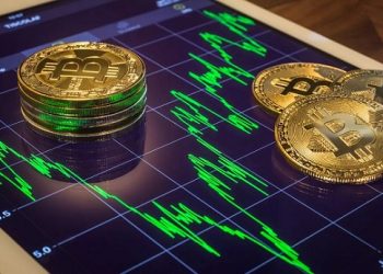 Before choosing bitcoin trading software in 2021, you must check out these best tips we have given