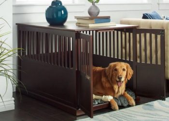 Choosing The Right Dog Cage