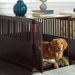 Choosing The Right Dog Cage