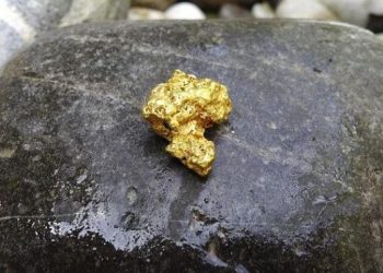 How To Put Physical Gold In Your IRA