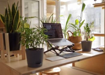 How to Raise Your ‘Curb Appeal’ as a Startup