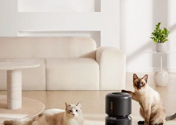 5 Reasons Why You Need A Smart Automated Cat Feeder