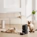 5 Reasons Why You Need A Smart Automated Cat Feeder
