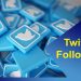 Buying Twitter followers: Does it work in 2021?