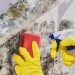 How to Get Rid of Mold and Prevent it from Coming Back