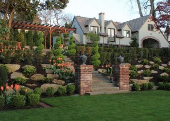 Lawn Care Tips and Ideas for People Who Live on a Small Property