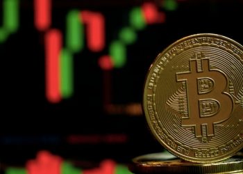 Some important things related to bitcoin trading software that we are going to tell you (2021)