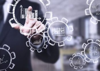 Who is a Business Process Analyst