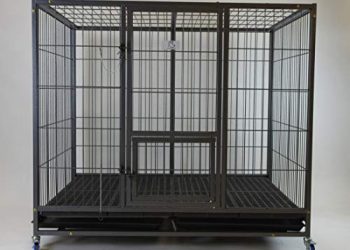 Are Heavy-Duty Steel Dog Crates Truly Indestructible?