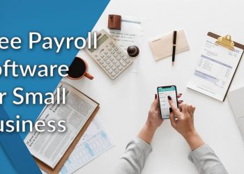 How Payroll Software Can Benefit Small Business Entities?