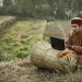 More Public Spending Needed For Rural Areas to Catch Up on Internet