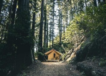 Easy Ways to Make Your Camping Trip More Comfortable