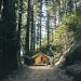 Easy Ways to Make Your Camping Trip More Comfortable