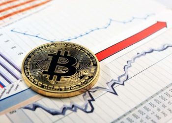 Bitcoin Investment Beginner Guide 2021