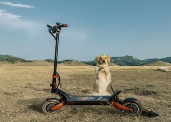 Do electric scooters offer any benefits to improve fitness