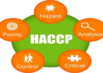 How to Get a HACCP Plan Without a Food Safety Consultant?