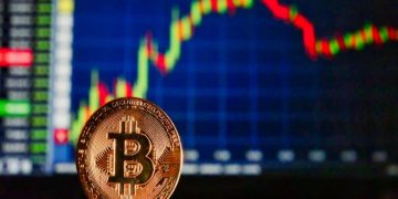 How to turn into a pro in bitcoin trading?