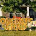 Reasons to Opt for Graduation Yard Signs