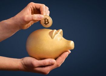 Should You Invest in Stocks or Bitcoin