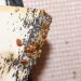 Signs and Symptoms of a Bed Bug Problem 