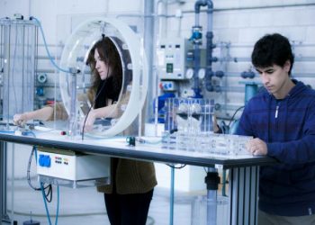 The Five Steps to Become REACH Compliant