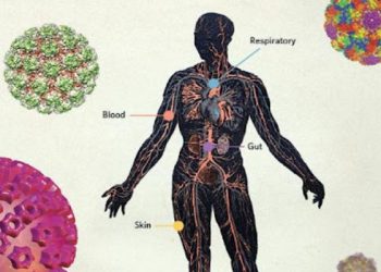 How to Prevent Cold and Flu