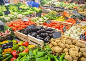 How to choose a food wholesaler