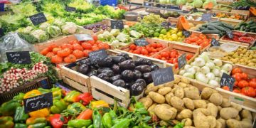 How to choose a food wholesaler