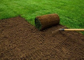 Starting a New Garden: 5 Things to Keep in Mind