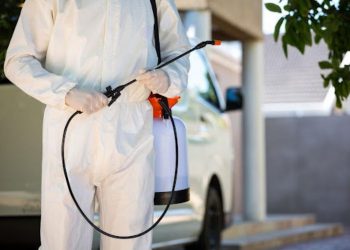 Top 5 Factors to Consider When Choosing Pest Control Providers