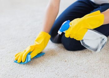 10 Steps To Cleaning Your Own Carpets