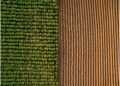 Agribusiness Solution: Field Zone Management Increases Yield Productivity