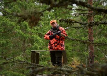 6 Insider Tips for Remaining Undetected While Hunting