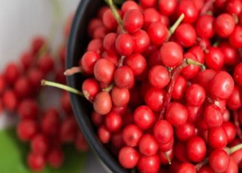What Is A Schisandra Powder And How To Consume It