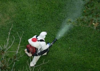 Why Is Pest Control Important For Homeowners?
