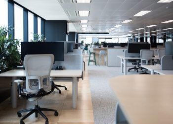 How to Redesign an Office on a Budget