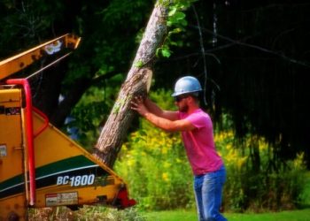 The Benefits of Tree Pruning
