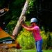 The Benefits of Tree Pruning
