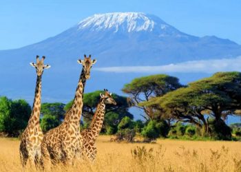 10 Undiscovered African Countries You Must Visit Before They Get Crowded- Michael Osland