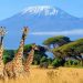 10 Undiscovered African Countries You Must Visit Before They Get Crowded- Michael Osland