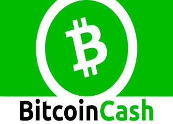 Here are some significant things your necessity to know about Bitcoin Cash (BCH)