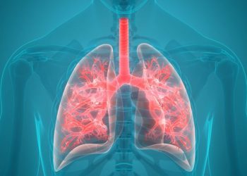How to Keep Your Lungs Healthy and Fit?