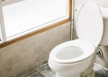 What Are The Common Causes Of Running Toilets?