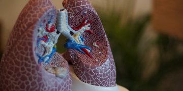 3 Health Problems That Can Stem From Dirty Air Ducts