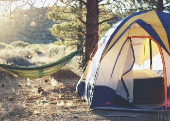 10 Fun Trip Ideas If You Are Traveling on a Budget