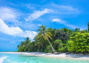 5 Vacation Destinations You Never Considered for Your Next Trip